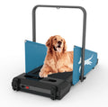 Black Dog Treadmill for Dogs up to 220 lb G87775