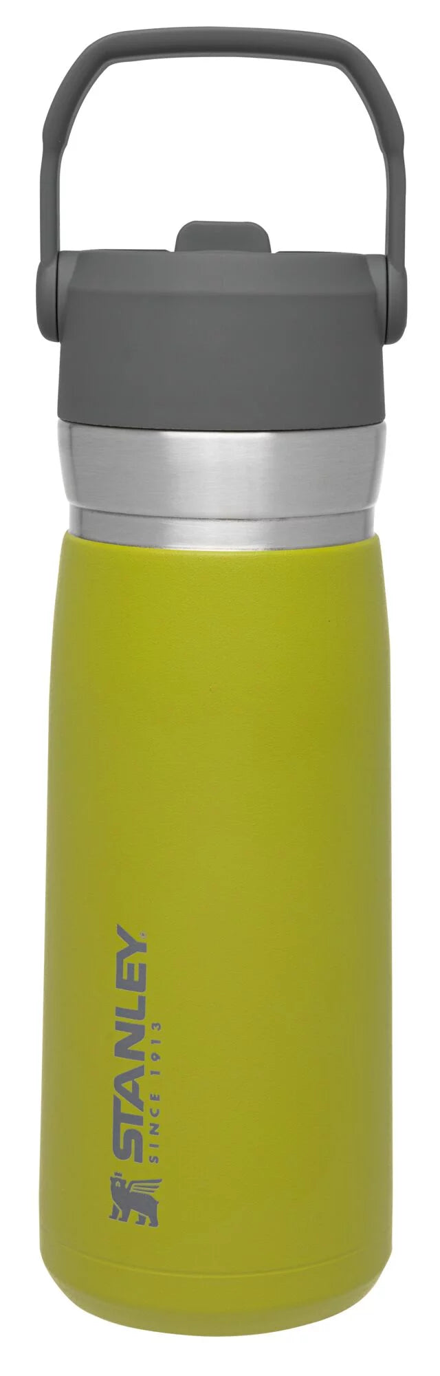 22 oz Insulated Stainless Steel Water Bottle with Straw and Flip-Top Lid Y858319
