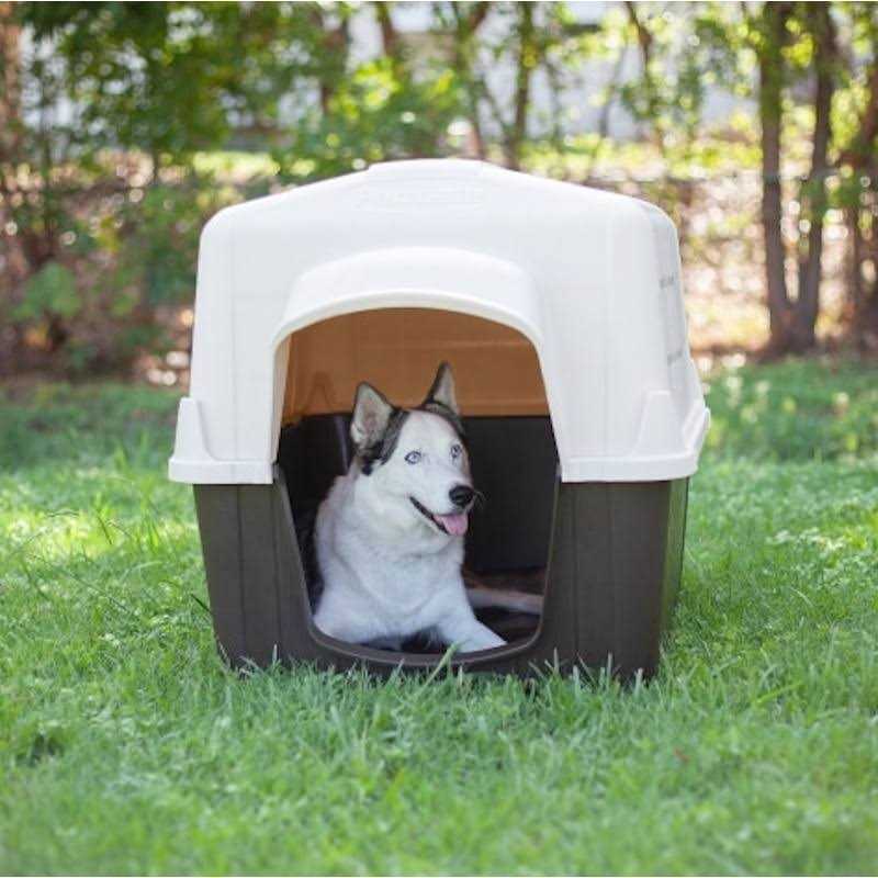 Pet Supplies J670663