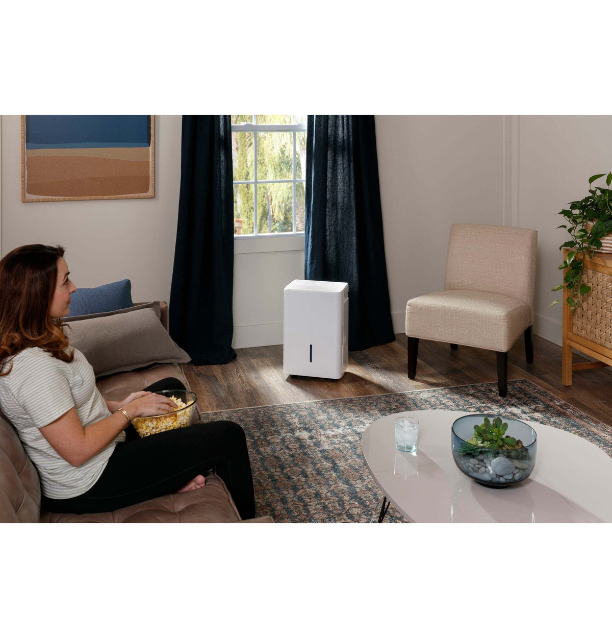 Portable Dehumidifier 35 Pint N59400