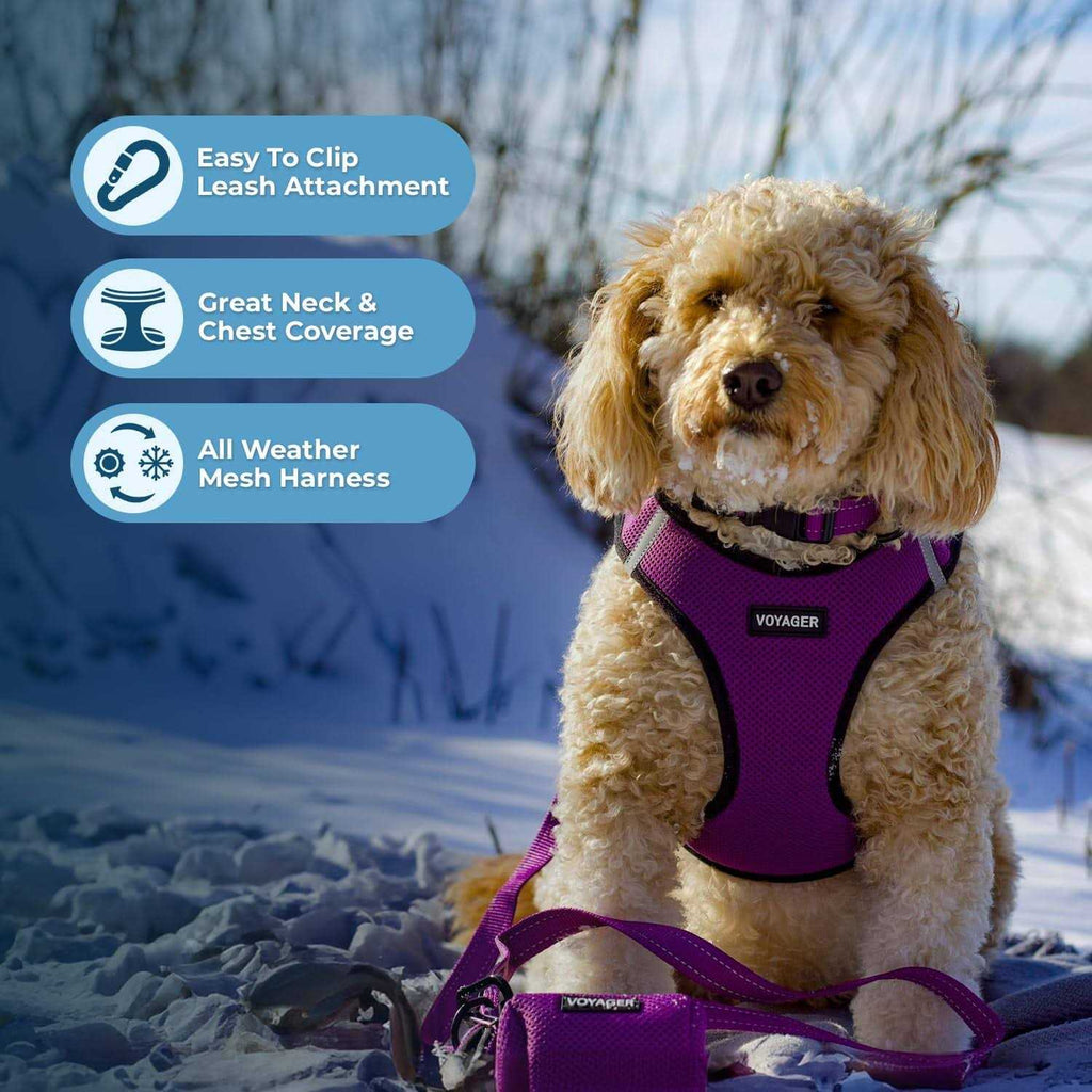 Step-in Air Mesh Dog Harness H1244