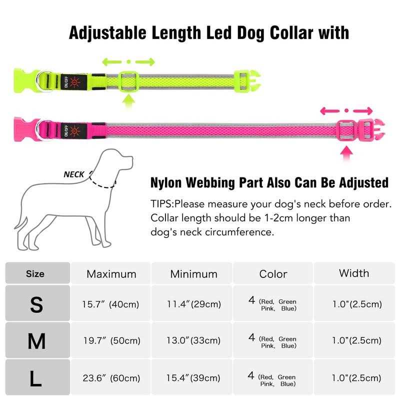 USB Rechargeable LED Dog Collar A629
