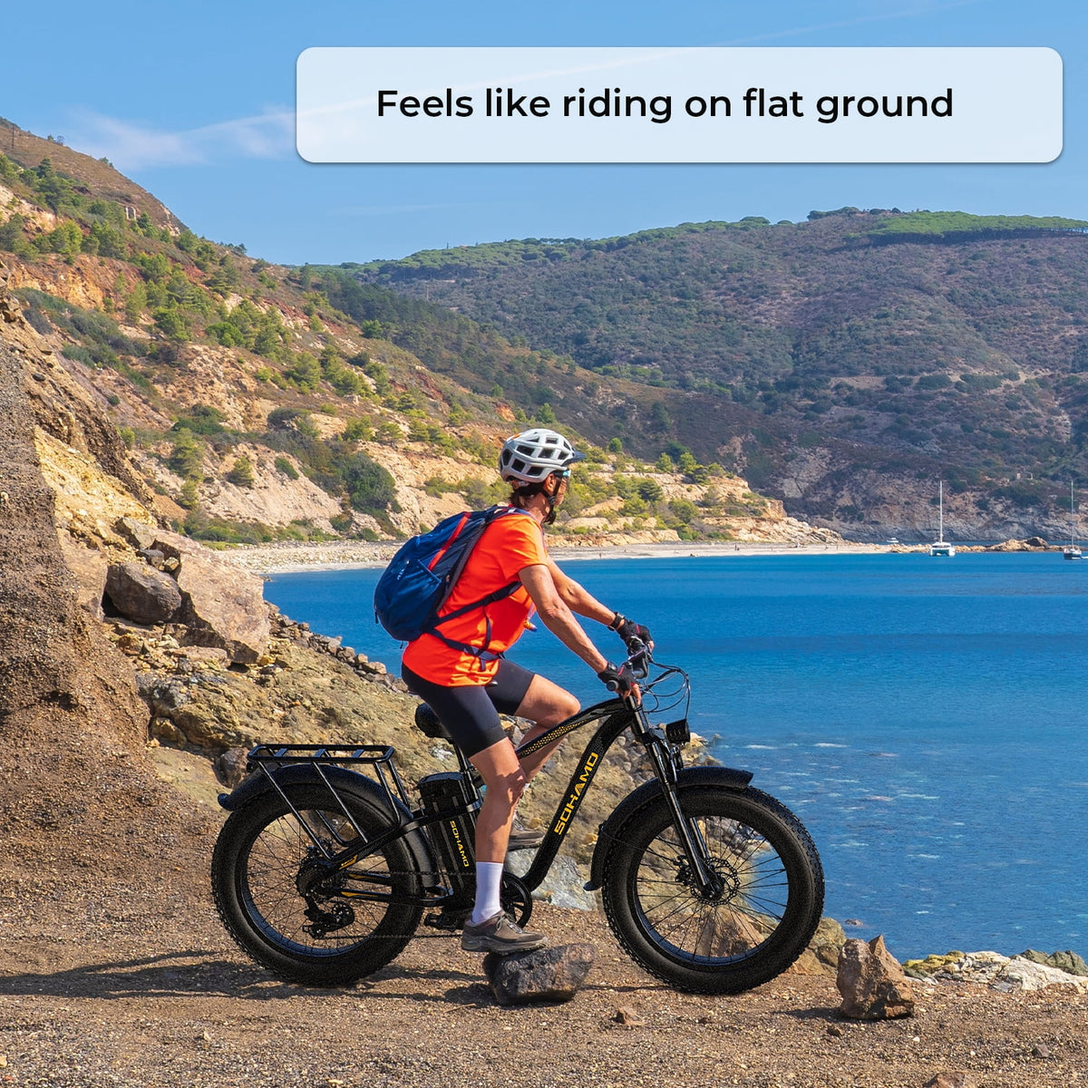Electric Bike 26×4.0 Fat Tire 750W Motor 48V 15AH L313