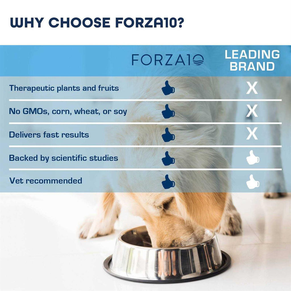 Grain-Free Dry Dog Food H875