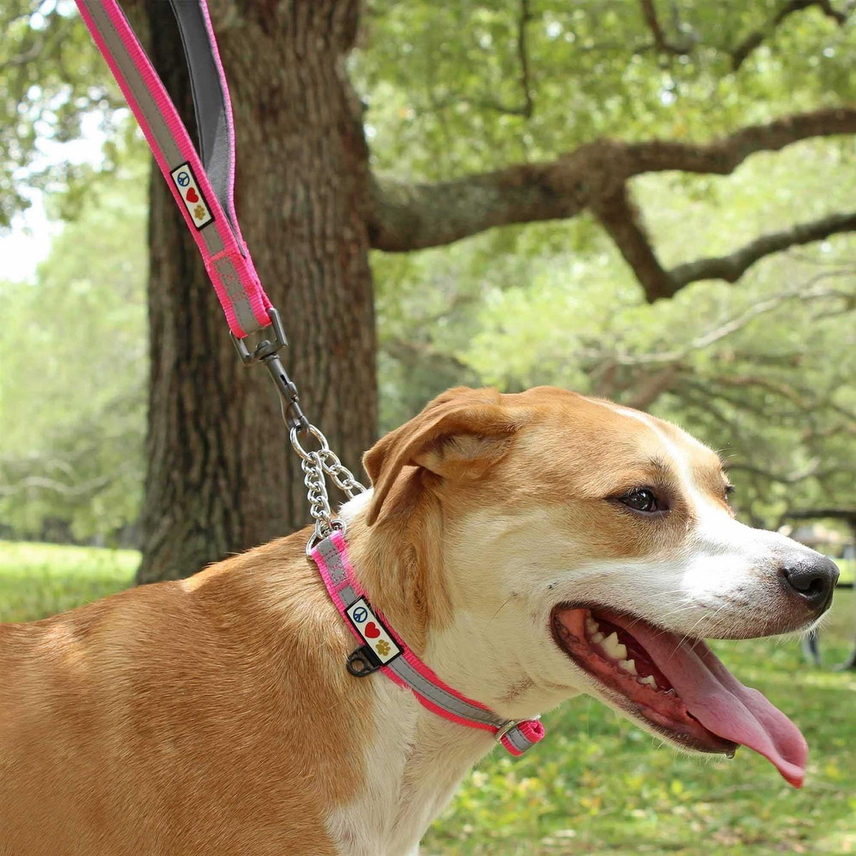 6 ft Dog Leash L554769