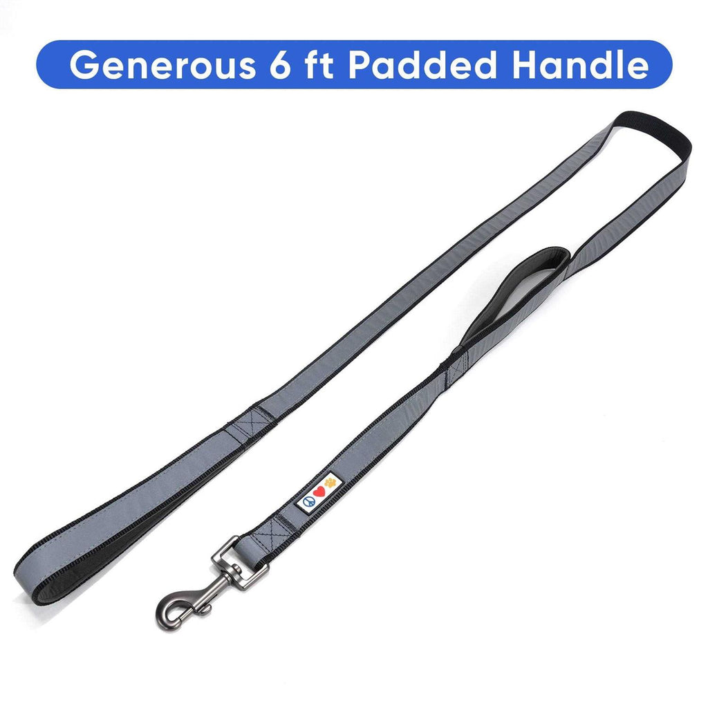 6 ft Dog Leash L554769