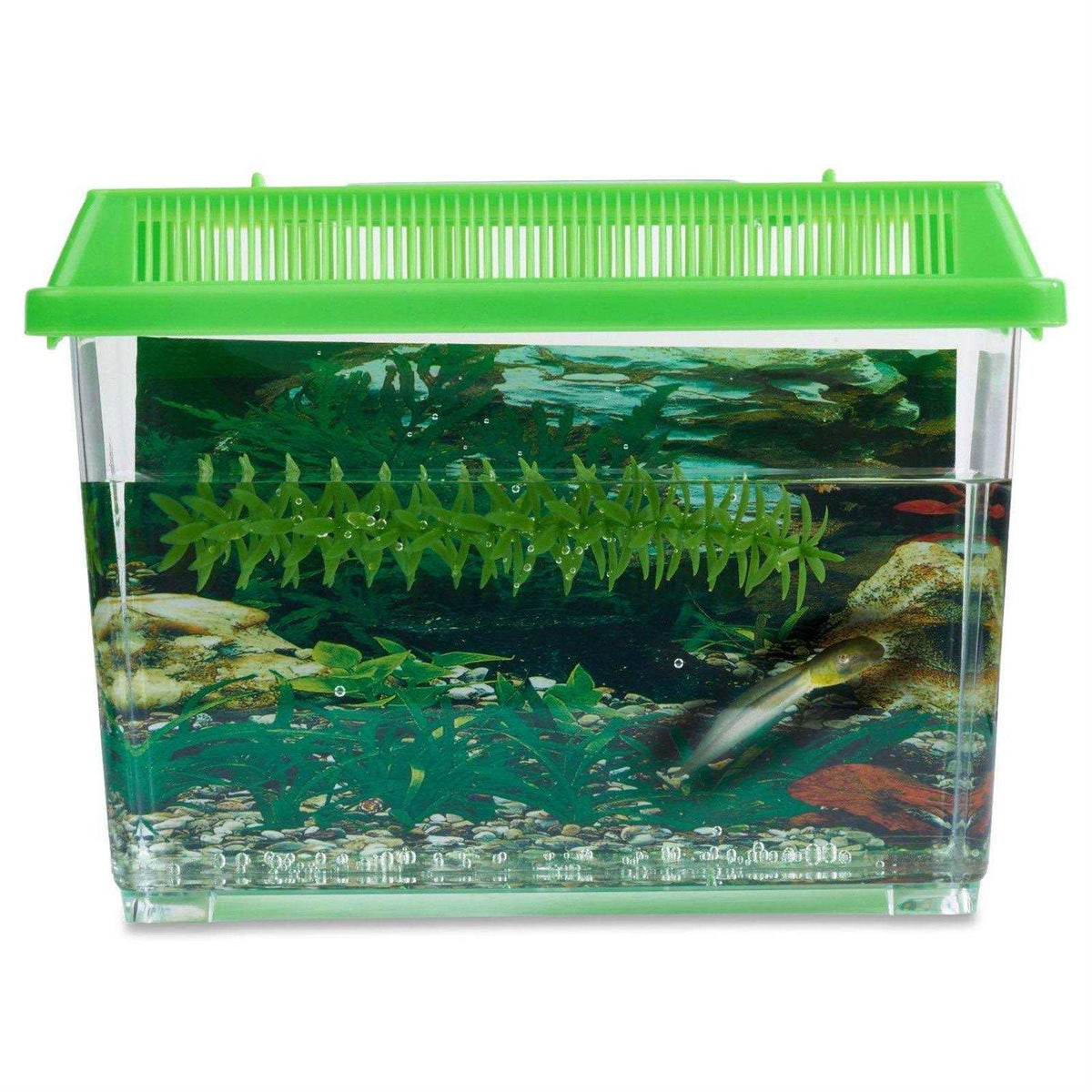 1-Gallon Frog Growing Kit X324