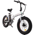 Folding 20 Fat Tire Electric Bike 500 W Z478