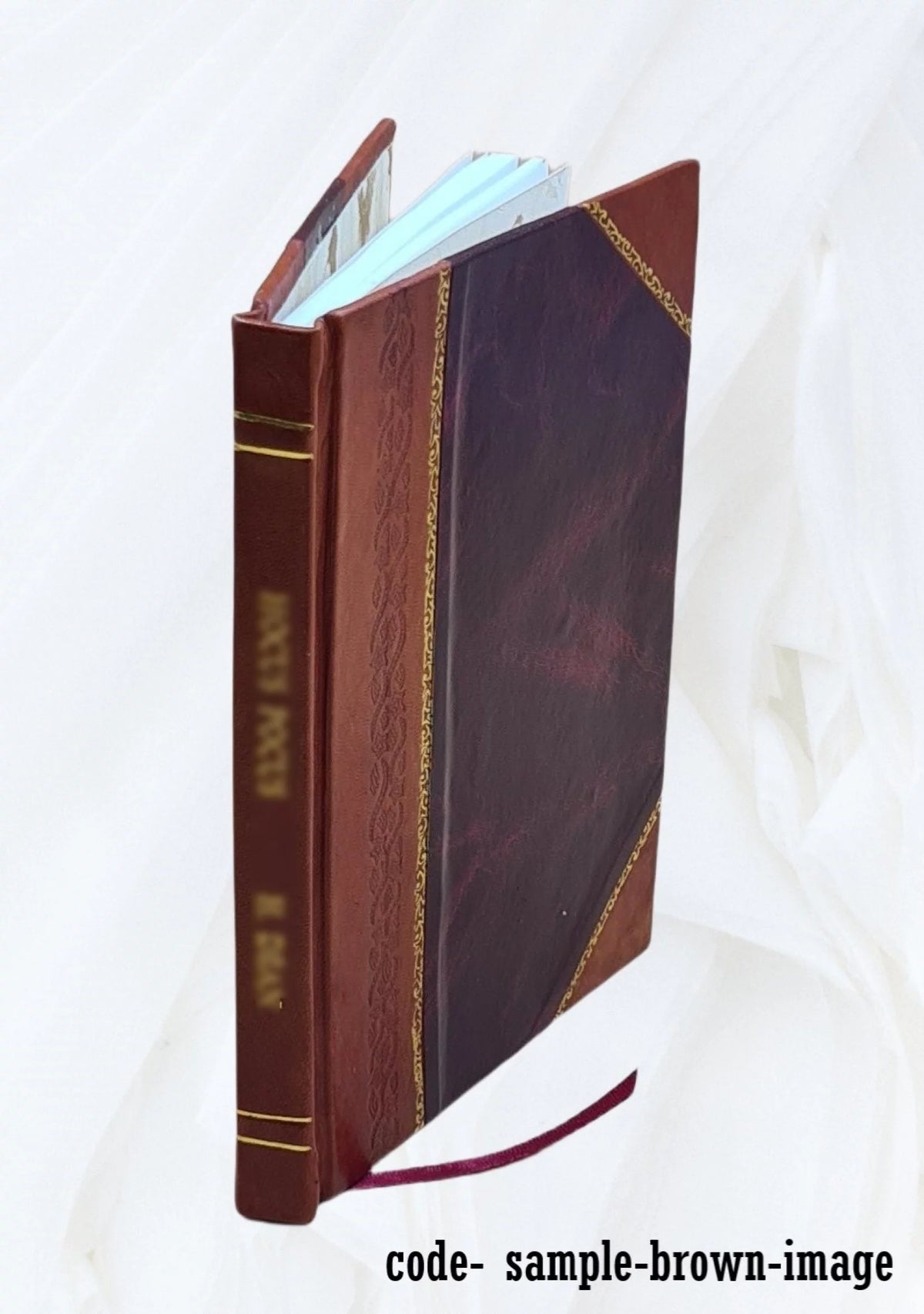 Leather Bound L539